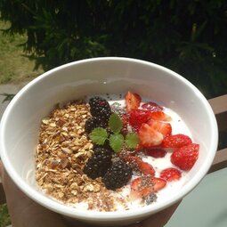 Domáca granola s ovocím