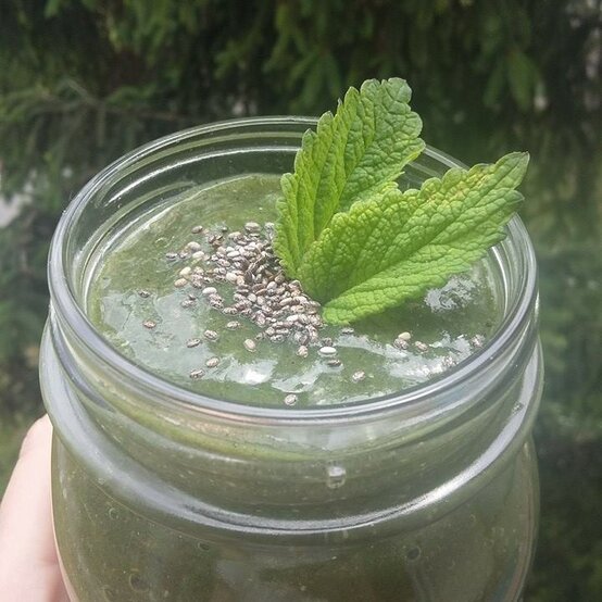 Mangové smoothie s chlorellou - smoothie recepty