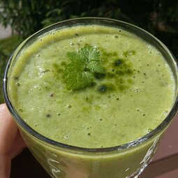 Smoothie z kiwi